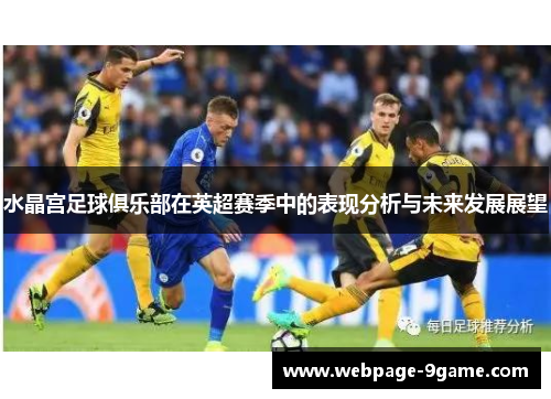 水晶宫足球俱乐部在英超赛季中的表现分析与未来发展展望